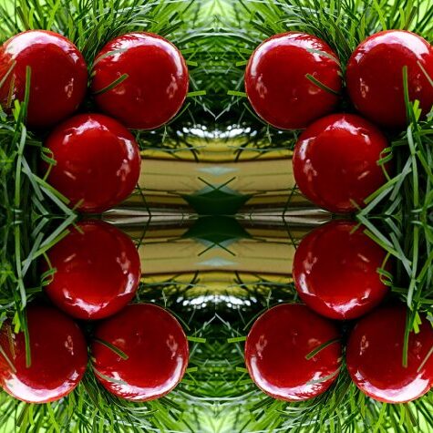 -2-TC-Ronelle-van den Heever-Christmas symmetry-