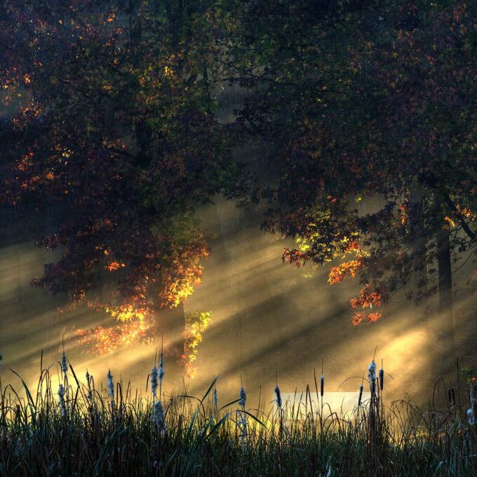 -5-SC-Rays of light-Des-van Tonder-